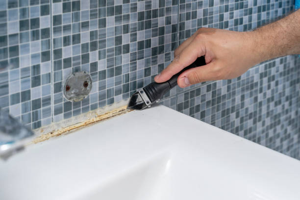 Best Toxic Mold Removal  in Panama, OK
