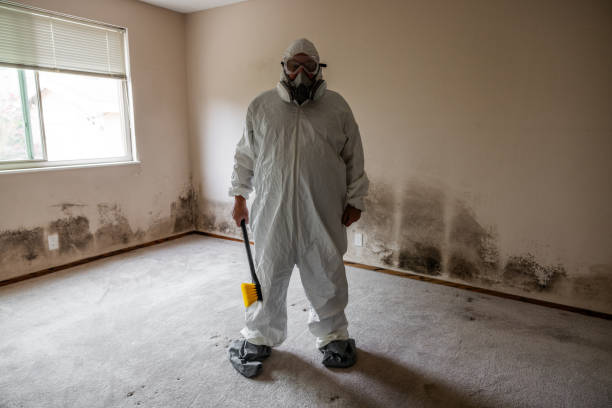 Reliable Panama, OK Mold Removal Solutions